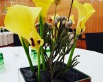 blumen pucher eventfloristik 24