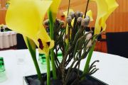 blumen pucher eventfloristik 24