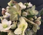 blumen pucher hochzeit 76