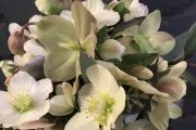 blumen pucher hochzeit 76